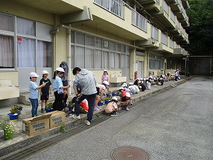 IMG_8946