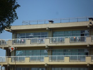 P1160134