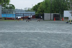 DSC01661
