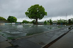 DSC01742