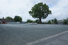 DSC01927