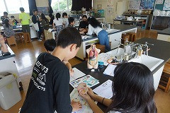 DSC00502