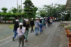 DSC00517