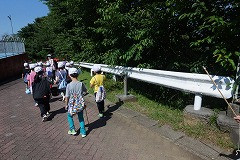 DSC01006