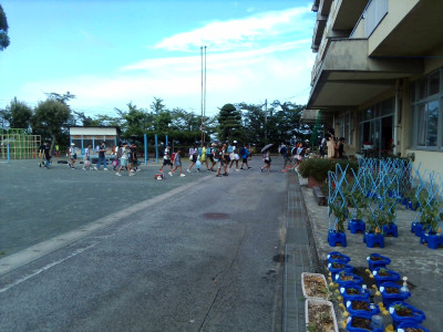 IMG_20250619_074055