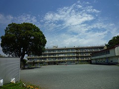 P1160412