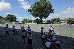 DSC01398