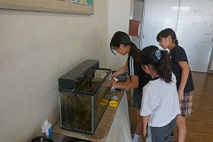 DSC01640