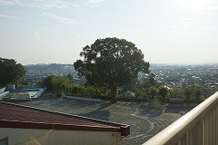 DSC01617