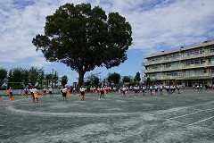 DSC01879