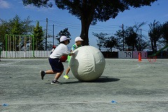 DSC02049