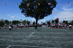 DSC02220