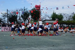 DSC02221