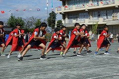 DSC02231