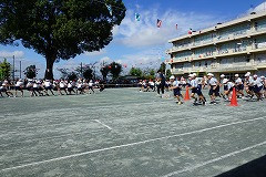 DSC02238