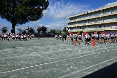 DSC02239
