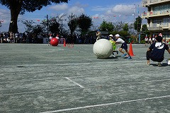 DSC02270