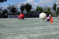 DSC02272