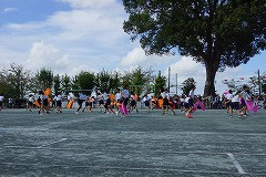 DSC02287
