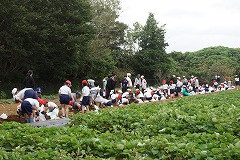 DSC02416